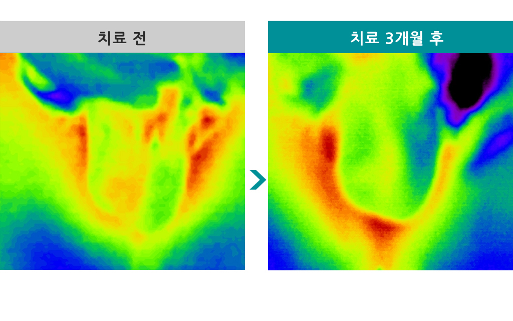 31세정계_수정.jpg